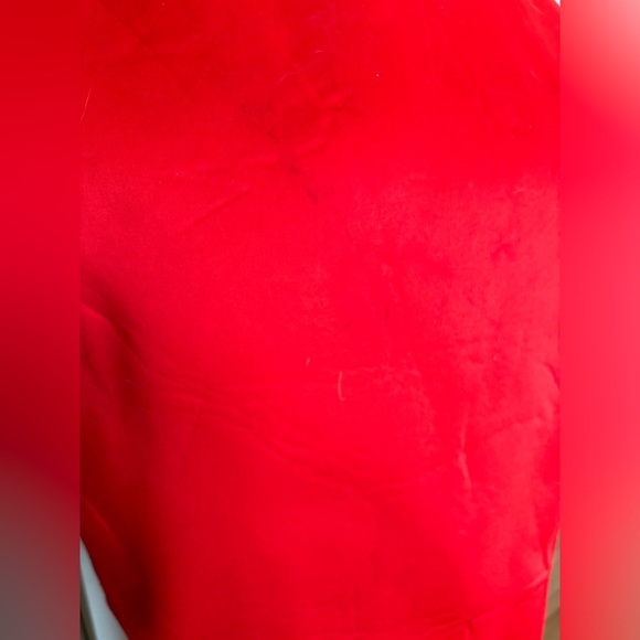 Red Hot Chili Pepper Costume - Picture 5 of 5